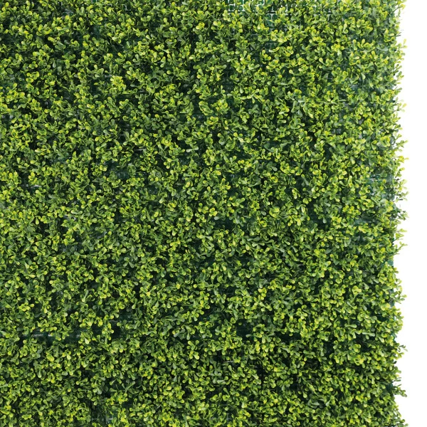 BUXUS Verticale Verdelook