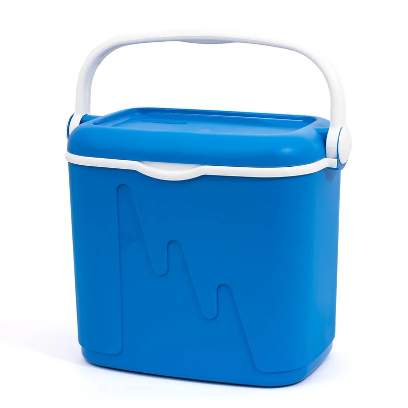Frigorifero Portatile Curver Contenitore termico da 32l