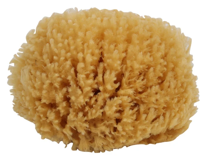 REDECKER Naturschwamm mit Baumwollband
