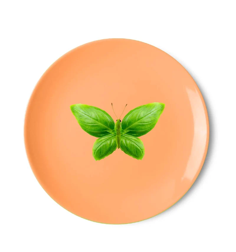 Piatto pizza Porcellana - 30,5cm Decoro Farfalla