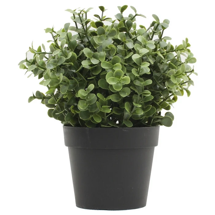 Piantina artificiale bosso verde chiaro-scuro
