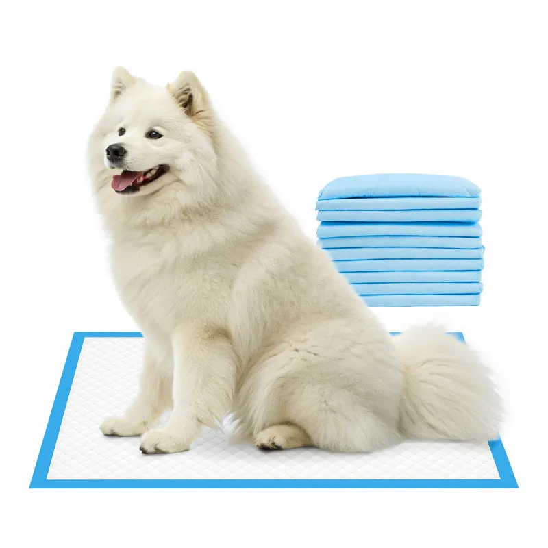 80 Pezzi Tappetini Igienici Assorbenti 60x90 Cm Per Cani e Gatti Il Gruppone