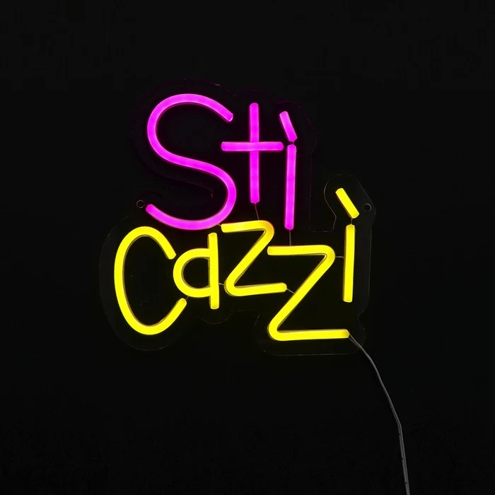 Insegna luminosa neon LED - Sti Cazzi