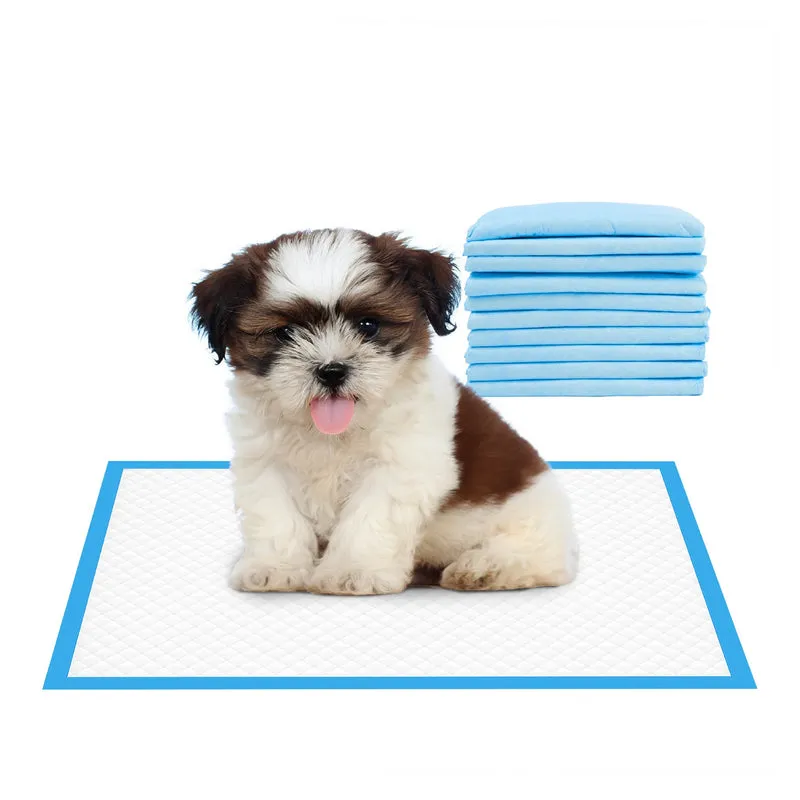 100 Pezzi Tappetini Igienici Assorbenti 60x60 Cm Per Cani e Gatti Il Gruppone