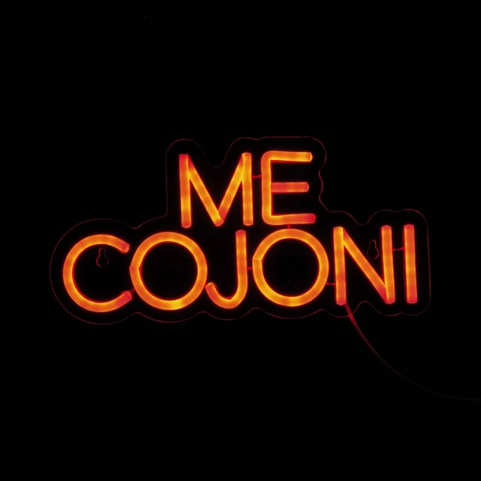 Insegna luminosa neon LED - Me cojoni
