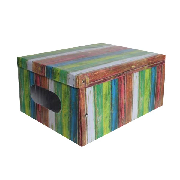 Box Abiti Pvc 50x40x25cm Fantasie Assortite