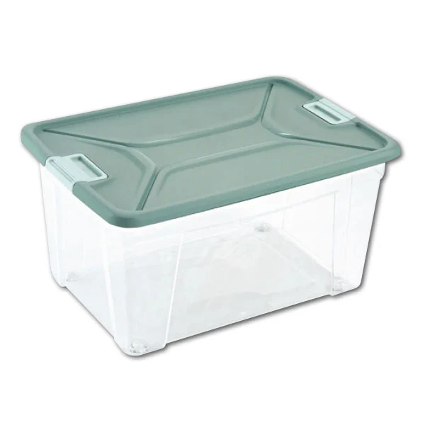Box Trasparente Con Coperchio 61lt 56x39,5x41cm