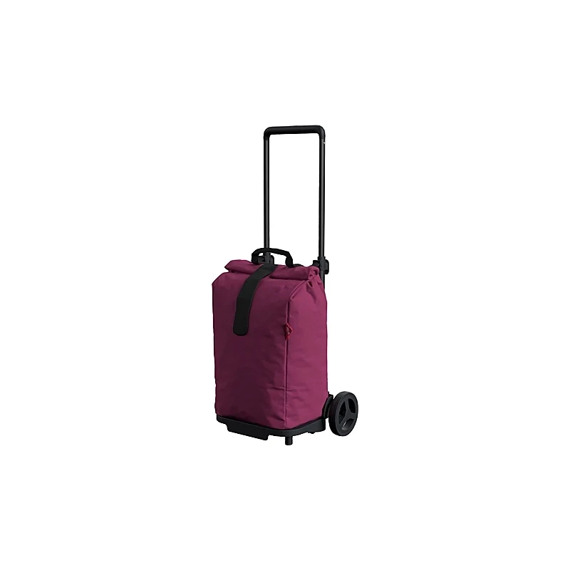 Carrello spesa sprinter