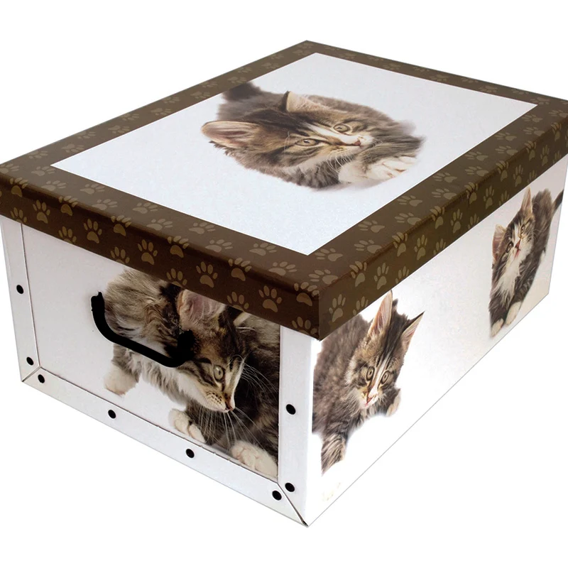 Scatola 52x40x25cm Decorazione Gatti Assortita