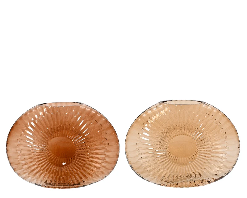 Vaso Vetro Conchiglia Trasparente 18 Cm