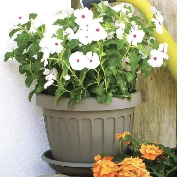 Vaso terra cappuccino diverse misure